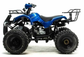 Квадроцикл Motoland 125 FOX