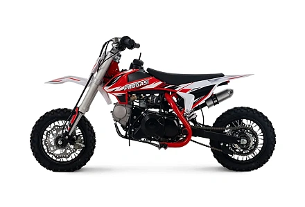 Мотоцикл Питбайк PROGASI Kids Power 110 красный