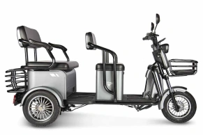 Трицикл Rutrike Экипаж пассажирский