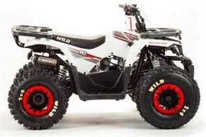 Квадроцикл Motoland 125 WILD (2020 г.)