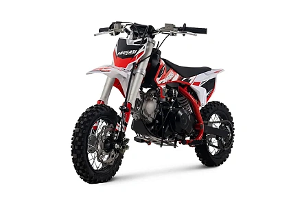 Мотоцикл Питбайк PROGASI Kids Power 110 красный
