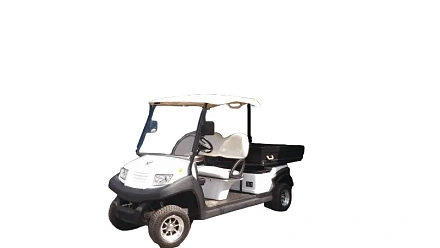 ГОЛЬФКАР Voltus CLUB 2 CARGO