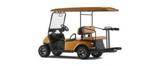 Гольф кар EWAY HM2+2