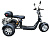 Электроскутер GT Citycoco X11 TRIKE - превью