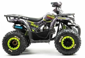 Квадроцикл Motoland 125 WILD A