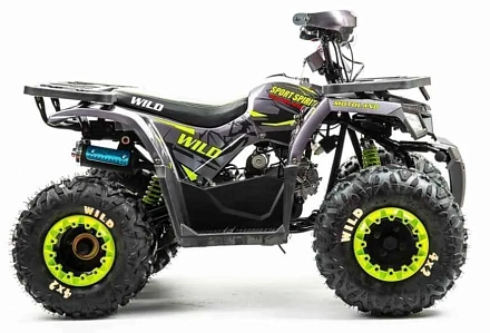 Квадроцикл Motoland 125 WILD A