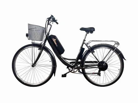 Электровелосипед Horza Stels Dacha 500