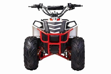 Квадроцикл Wels Evo.M