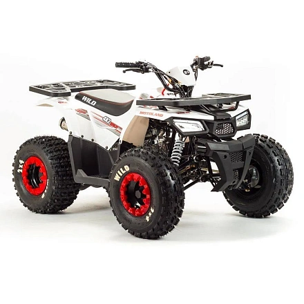 Квадроцикл Motoland 125 WILD A
