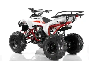 Квадроцикл MOTAX ATV Raptor LUX 125 сс