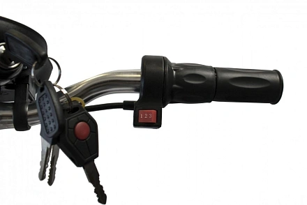 Электросамокат El-Sport Zappy