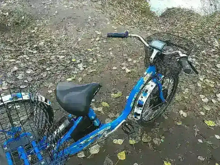 Электровелосипед Horza Stels Trike 24-T2