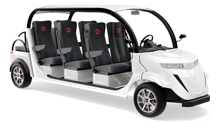 Гольфкар Elecar 5E-TIGARBO 6+2