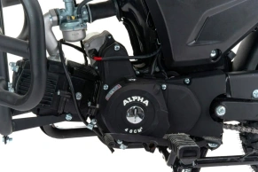 Мотоцикл Motoland Альфа RS 11 (LM48-B)
