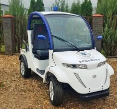 Гольфкар Elecar 5E-TIGARBO 2+2