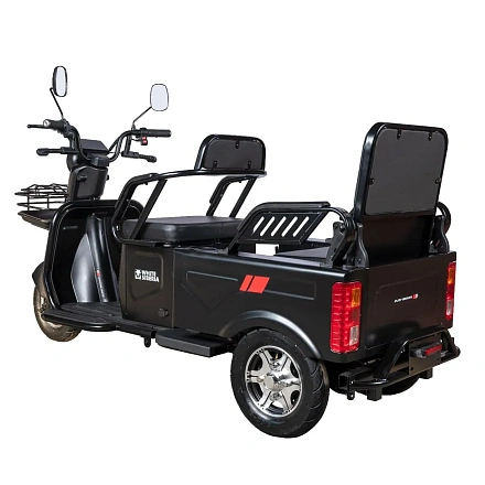 Электротрицикл White Siberia Sibtrike Max 2000W