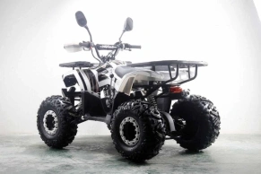 Квадроцикл MOTAX ATV Grizlik Premium 125cc