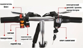 Электротрицикл Elbike Адъютант А1 250W
