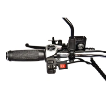 Электроскутер Skyboard CITYCOCO Chopper -4000 Harrow (Elbrus)