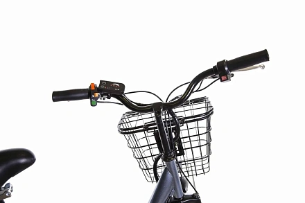 Трехколесный электровелосипед E-motions KANGOO-RU 500 с корзиной