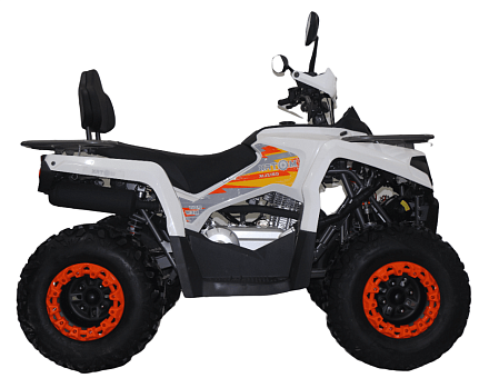 Квадроцикл MOTAX Grizlik 200 Ultra