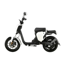 Электроскутер Skyboard Sevastopol 1800W