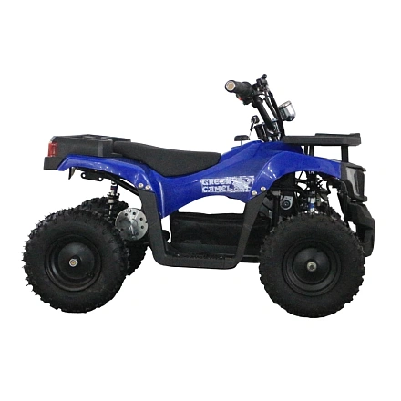 Электроквадроцикл Green Camel Гоби K24 (36V 800W R6 Цепь)