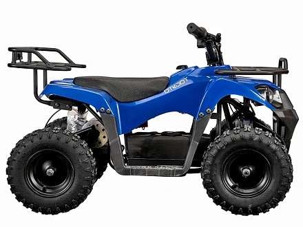 Квадроцикл YACOTA 800W