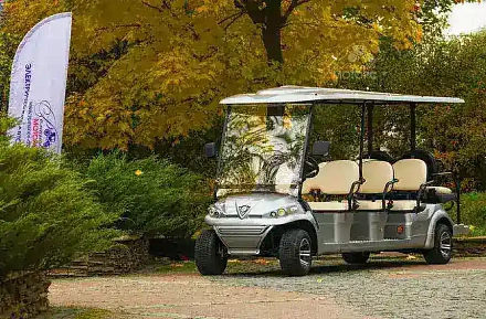 ГОЛЬФКАР КОНКОРДИЯ ГК6+2 С ПЛОЩАДКОЙ