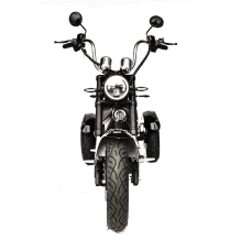Электроскутер Skyboard CITYCOCO Chopper -4000 Harrow (Elbrus)