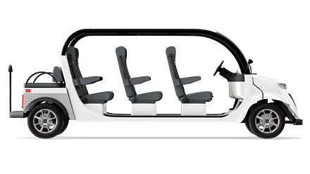 Гольфкар Elecar 5E-TIGARBO 6+2