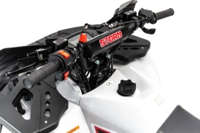 Квадроцикл Motoland 125 STORM
