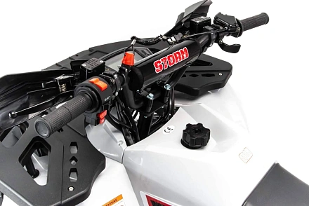 Квадроцикл Motoland 125 STORM