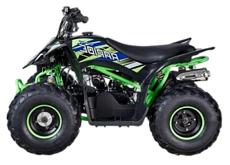 Квадроциклы бензиновые